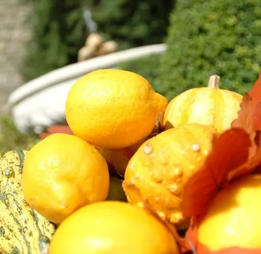 アパートホテル Piccola Italia 4*